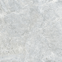 Wall and floor tile a808016q