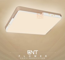 EDS Prewitt Blue Ke modern style modern LED home ceiling lamp high quality household