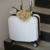 Korean cute small suitcase female student mini suitcase male 18 suitcase trolley case portable 16 inch