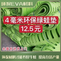 Brocade Bull Frog Cushion Blue Green Environmental Protection Frog Cushion Bull Frog Dae-Frog Platform Floating Mat Frog-Breastfeed Frog Mat