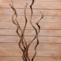 Zen tree vine cross river dragon home furnishings art branches dried flower decoration shooting props dried branches trunk