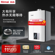 R65A gas water heater in the forest 16 liters of natural gas household constant temperature zero cold water volume intelligent strong discharge official