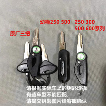 Suitable for Huanglong 600 300 302 Cubs 500 250 Little Xunlong 502c key embryo TF