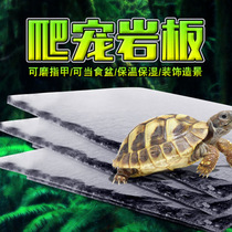 Yellow-rivered turtle natural slate mat natural rock basin food plate rock board Rock board climbing pet turtle box lizard moisturizing insulation