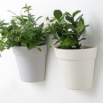 Creative hanging wall hydroponic wall flowerpot lazy green wall plastic hanging wall hanging flower pot