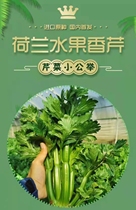 Hotel club fruit Qingqin raw eat salad juice raw choke a 300g 5 hair 10