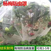 Bayberry net cover Cherry insect-proof wind-proof bird net fruit tree cover fleshy Lotus fog peach tree Luo mantle greenhouse special cover