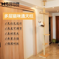 Tongtianzhu solid wood cat climbing frame high-level cat nest cat tree integrated space capsule cat nest cat jumping stand cat shelf
