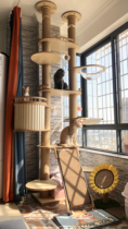 Imeng Cute Integrated Luxury Large Cat Climbing Rack Twin Columns Through The Sky Post Heathen All Season Universal Cat Litter Tree