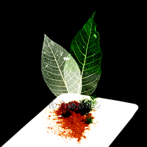 Cicada wing Leaf Hotel plate decoration pan head embellishment transparent leaves artistic conception dish creative dish cold dish plate flower and grass restaurant