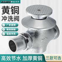 Foot type stool Flushing Valve toilet squatting pit buried foot delay valve concealed squat toilet flushing valve