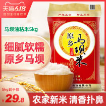 Xinmimaba oil glutinous rice 5 kg long grain Xiangmi 10 jin high quality new rice Indica Rice