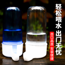 Parrot feeder for birds with automatic drinking fountain bird feeder bird kettle water cup drinking water Cup bird supplies
