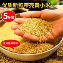 Bird food New yellow millet small and medium-sized parrot feed Bird food shelled millet tiger skin Xuanfeng Peony food 5 pounds