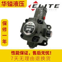 Taiwan ELITE VP-40-FA3 Oil pump VP-30-FA2 Variable vane pump VP-20 15-FA1
