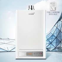 Flying Dragon Mall A O Smith Gas Water Heater Quality Home Appliances Assured Purchase JSQ33-V1