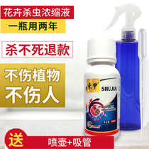 Insecticidal insecticide of red spider aphid of rose