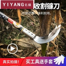 Long handle sickle Japanese SK5 greenery cut grass weeding corn sorghum agricultural wheat lefty left skimmer hand clean knife and sickle