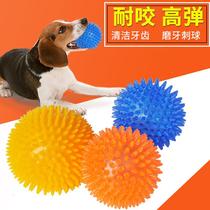 Pooch Toy Vocalite Toy Ball Pooch Grindrops Dentity Teeth Resistant to Bite Balls Golden Gross Teddy Training Toy Pet Supplies