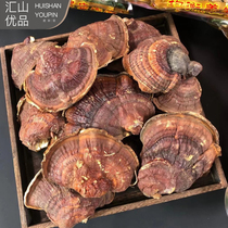 Changbai Mountain Ganoderma lucidum wild dry goods Phnom Penh small Ganoderma lucidum 500g Super Red Ganoderma lucidum soak soup