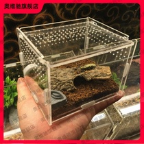 Box mantis pet cricket scorpion transparent gecko Spider box snail feeding box Villa household cockroach