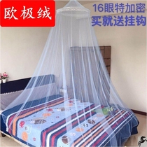 Dome Ceiling Mosquito Net Floor Type Bracket Free of Encrypted Atmosphere Sensation Princess Wind Bed Mantle Home 2022 new