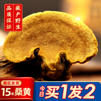 The efficacy of wild Phellinus igniarius tea in Tibet in 15 years