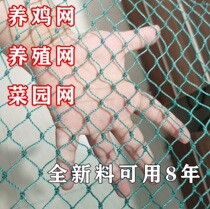 Plastic grid Chicken fence net Breeding net Household outdoor fence protection net Fecal drain net Fish pond orchard plastic net