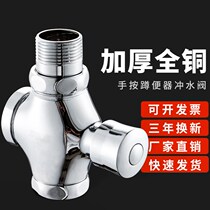 toilet time-lapse hand press type flush valve accessories toilet small poop toilet stool pool flushing valve toilet valves