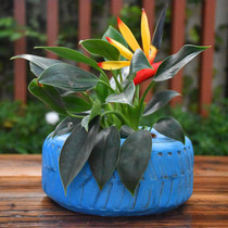 Courtyard garden ornaments layout balcony landscaping simulation tire meat decoration pastoral creative flower pot 2021 New
