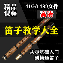 Flute video tutorial zero basic beginner self-study teaching adult childrens music selection teaching materials