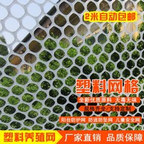 ~ Anti-theft white breeding plastic mesh small grid partition small hole garden hollow frame rose net