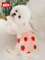 Little dog clothes spring and autumn Teddy cat than bear Bomei autumn pet small pup autumn princess skirt