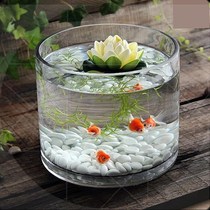 Ornamental fish tank turtle straight glass landscape bottom sand office desktop living room fleshy basin hydroponic small goldfish tank