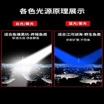 22 Laser Cannon Fishing Light Cannon Super Bright High Power Strong Blue Light Torch Bridge Raft Fishing Night Light Warm Light Xenon Lamp Special