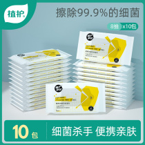 Plant protective sterilization wet wipes portable portable antibacterial baby hand wipe children Baby students disinfection wet paper towel ZB