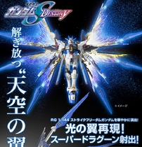 Bandai Online Shop Limited RG 1 144 Assault Freedom with Sky Wings Light Wings Only Light Wings