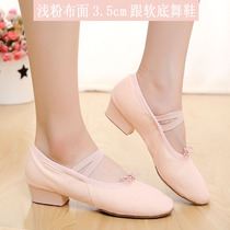 Dance shoes with heel womens black leather canvas soft bottom practice shoes belly dance folk dance teacher shoes red and white camel