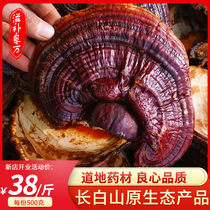 Changbai Mountain whole red Ganoderma lucidum sessile deep mountain Linzhi 500g a catty tea wine wild soup Premium