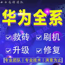VIVO Huawei mate20 p9 p10p30pro40 9X 20s 10 youth remote rescue brick mobile phone repair