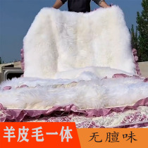 Whole sheepskin mattress fur integrated moisture-proof leather student dormitory single lamb hair mattress double wool pad