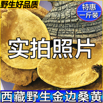 Tibet Mulberry Yellow Wild Mulberry Yellow Mulberry Tree Mulberry Gold Edge Mulberry yellow Wild 500g Mulberry Yellow Ganoderma Lucidum Tea