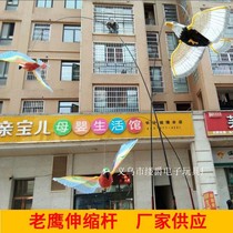 Hot sale electric parrot can fly glowing sound Bird eagle hanging line Parrot Bird Music childrens toy