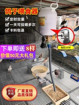 Pigeon supplies automatic feeder timing quantitative feeder feeder carrier pigeon ornamental pigeon chicken duck goose dog fish cat