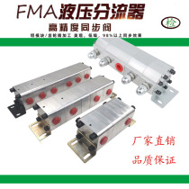 Hydraulic synchronous motor one drag two drag four high precision shunt size flow FMA-2R-2 1 4 2 8 8