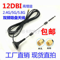 2G 5G 5 8G dual-band Small suction cup antenna 12dbi wireless routing SMA omnidirectional high gain wifi antenna