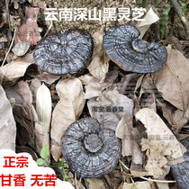 Wild black Ganoderma lucidum authentic Yunnan pruning Nyingchi natural dry goods semi-wild purple Ganoderma lucidum tablets a catty bulk 500g