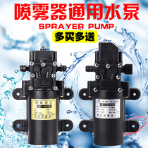 Electric sprayer water pump agricultural diaphragm miniature high pressure self-priming car washing pesticide machine 12V high power double pump