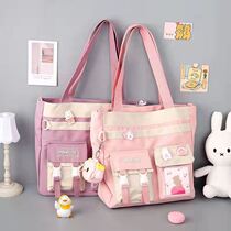 College students class canvas bag female 2021 new shoulder ins bag Korean version of all cross body bag bag bag