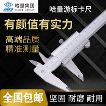 Ha quantity stainless steel vernier caliper 0-150-200-300-500-1000mm mini oil standard caliper high precision